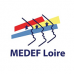 Medef Loire