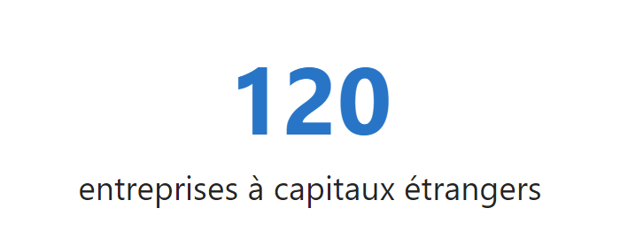 entreprises à capitaux étrangers